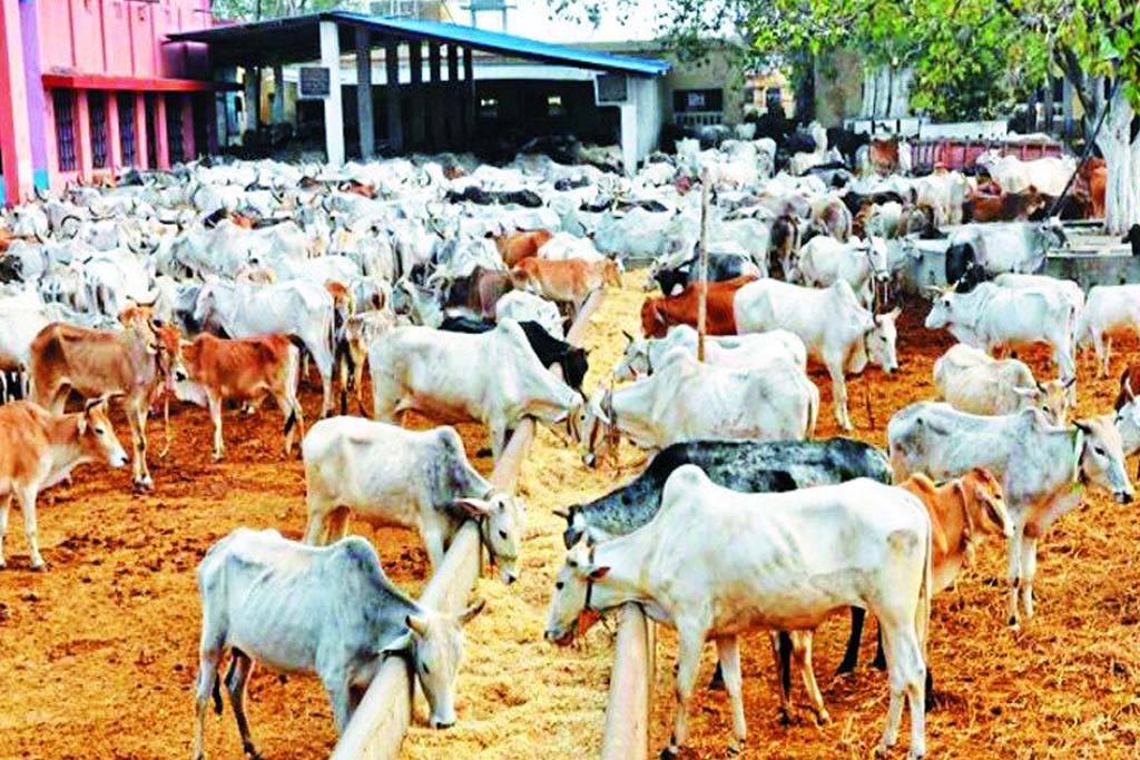 गौमाता की नस्ल सुधार हेतु राष्ट्रस्तरीय अनुसन्धान केंद्र की स्थापना